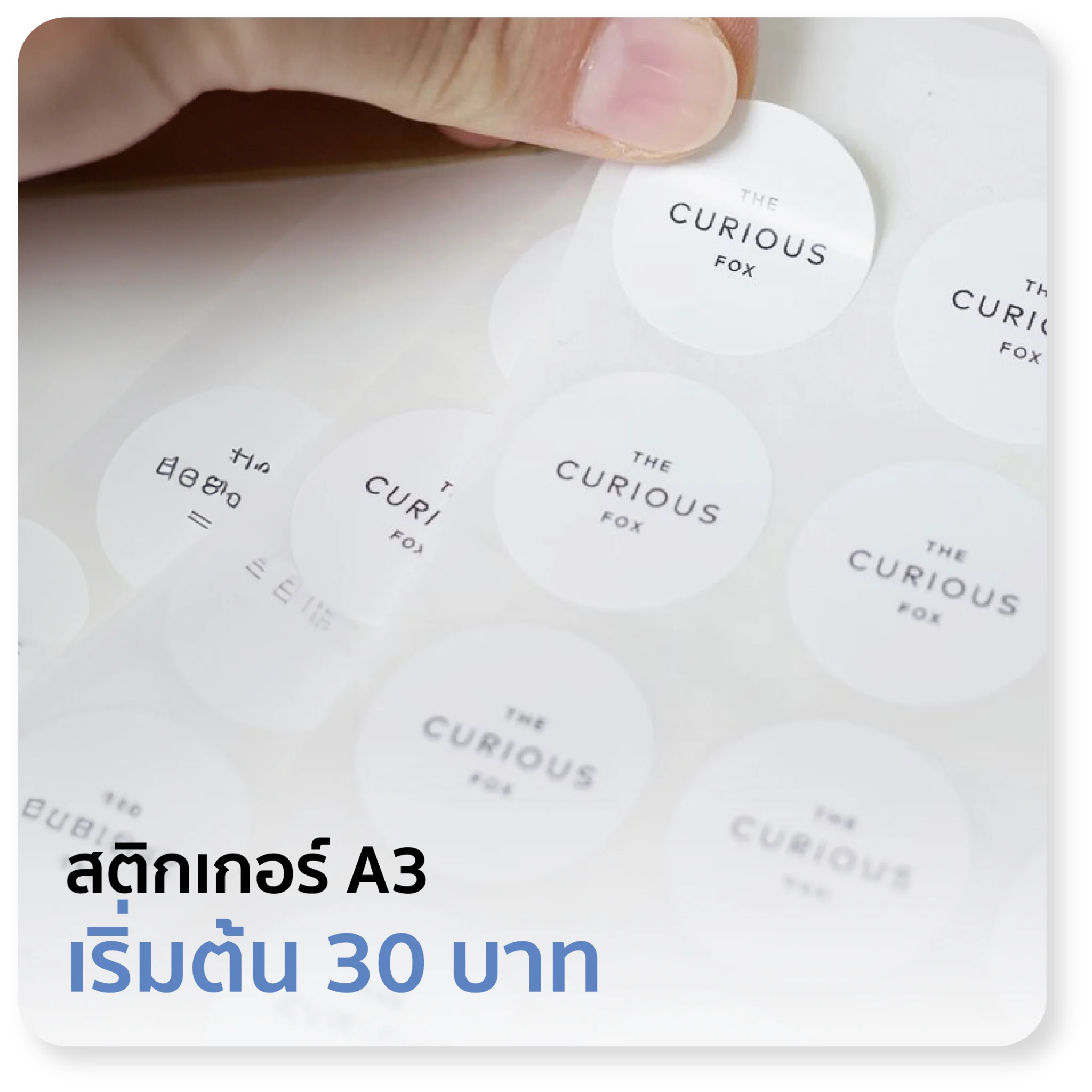 Asset-32@300x-2048x2048.webp